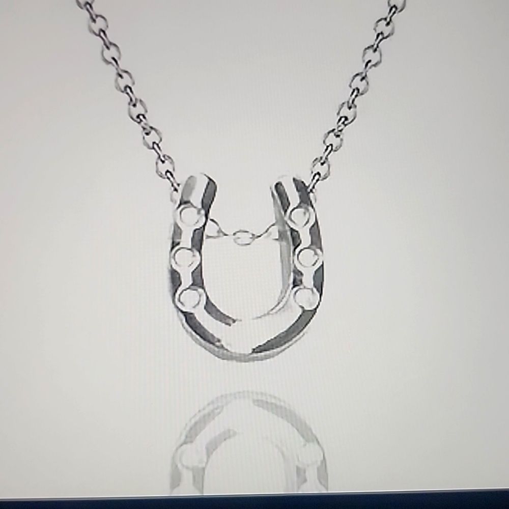Lucky Horseshoe necklace